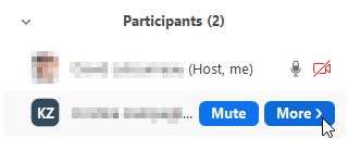 How do I manage audio and video for all Zoom Meeting participants?